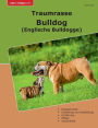 Traumrasse Bulldog: Englische Bulldogge