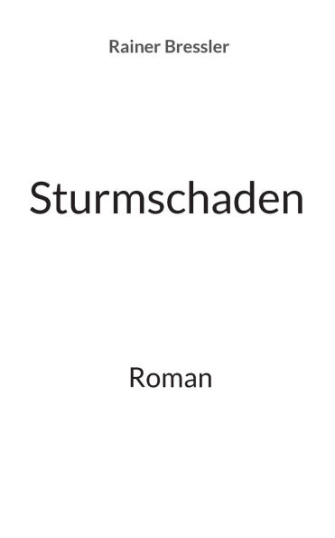 Sturmschaden: Roman