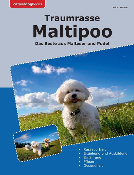 Traumrasse Maltipoo: Das Beste aus Malteser und Pudel