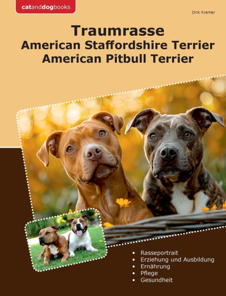 Traumrasse American Staffordshire Terrier: American Pitbull Terrier