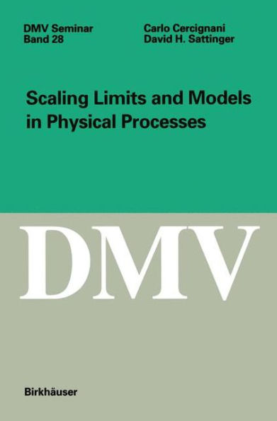 Scaling Limits and Models in Physical Processes / Edition 1