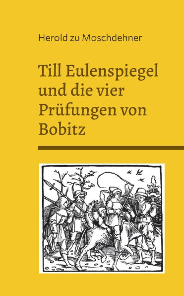 Till Eulenspiegel und die vier Prï¿½fungen von Bobitz: Das Rï¿½tsel des Nebels