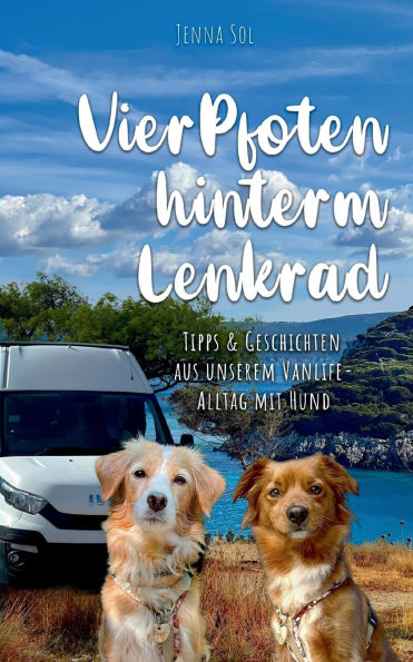 Vier Pfoten hinterm Lenkrad: Tipps und Geschichten aus unserem Vanlife-Alltag mit Hund