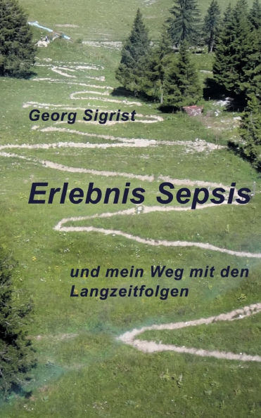 Erlebnis Sepsis: und mein Weg mit den Langzeitfolgen