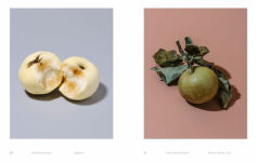 Alternative view 2 of William Mullan: Odd Apples