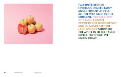 Alternative view 25 of William Mullan: Odd Apples