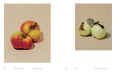 Alternative view 29 of William Mullan: Odd Apples
