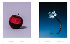 Alternative view 7 of William Mullan: Odd Apples