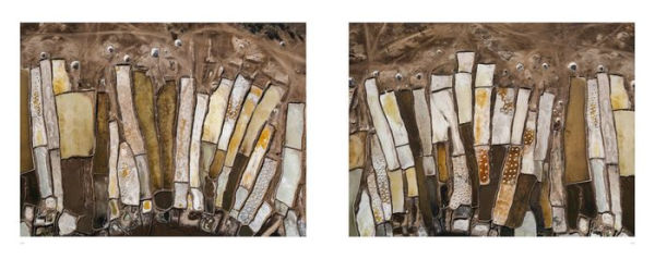 Tom Hegen: Salt Works