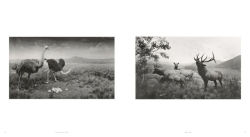 Alternative view 4 of Hiroshi Sugimoto: Time Machine