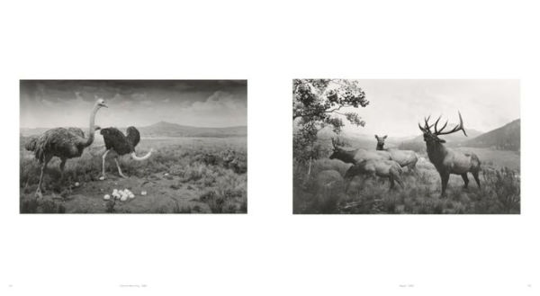 Hiroshi Sugimoto: Time Machine