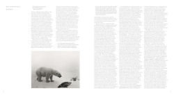 Alternative view 6 of Hiroshi Sugimoto: Time Machine