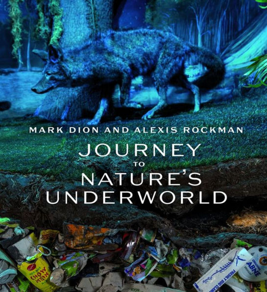 Mark Dion and Alexis Rockman: Journey to Nature's Underworld