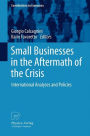 Small Businesses in the Aftermath of the Crisis: International Analyses and Policies