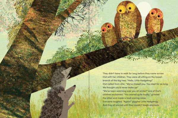 Again!: A Big Hedgehog and Little Hedgehog Adventure