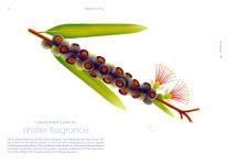 Alternative view 2 of Seeds: Nature's Intrepid Miracles