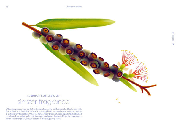 Seeds: Nature's Intrepid Miracles