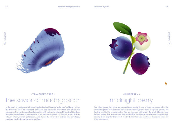 Seeds: Nature's Intrepid Miracles