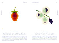 Alternative view 8 of Seeds: Nature's Intrepid Miracles