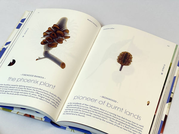 Seeds: Nature's Intrepid Miracles