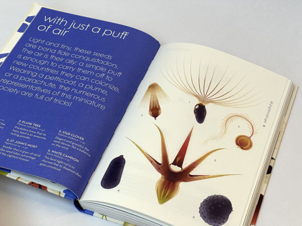 Seeds: Nature's Intrepid Miracles