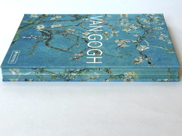 Van Gogh: The Bigger Picture