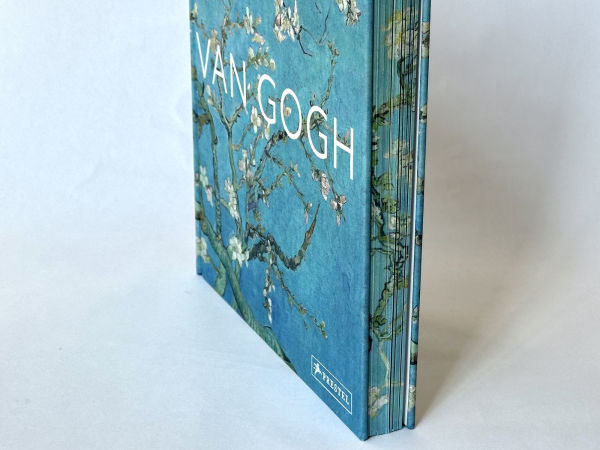 Van Gogh: The Bigger Picture