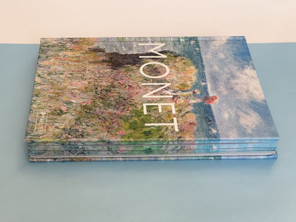 Monet: The Bigger Picture