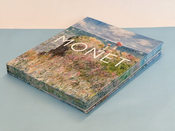 Monet: The Bigger Picture