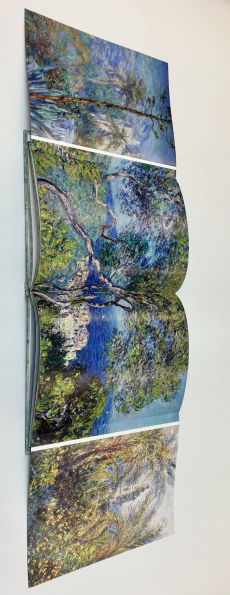 Monet: The Bigger Picture