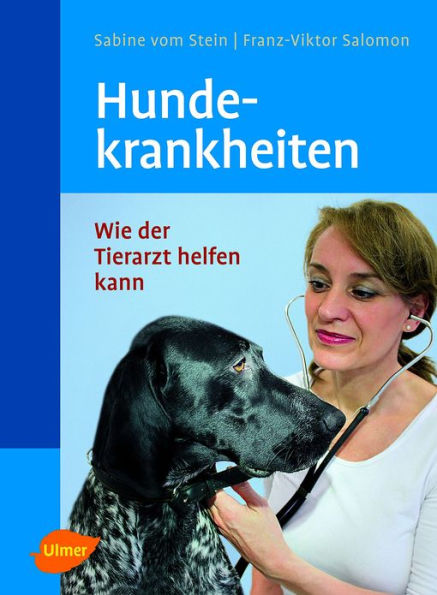 Hundekrankheiten: Wie der Tierarzt helfen kann