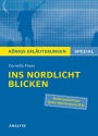 Ins Nordlicht blicken von Cornelia Franz. Königs Erläuterungen Spezial.: Textanalyse und Interpretation mit ausführlicher Inhaltsangabe und Prüfungsaufgaben mit Lösungen