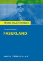 Faserland von Christian Kracht. Textanalyse und Interpretation.: Königs Erläuterung mit ausführlicher Inhaltsangabe und Abituraufgaben mit Lösungen