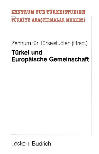 Türkei und Europäische Gemeinschaft: Eine Untersuchung zu positiven Aspekten eines potentiellen EG-Beitritts der Türkei für die Europäische Gemeinschaft