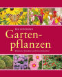 Die schönsten Gartenpflanzen: Blumen, Stauden und Ziersträucher