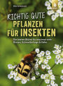 Richtig gute Pflanzen für Insekten: Die besten Blüten für maximal viele Bienen, Schmetterlinge, Schwebfliegen & Käfer im Garten. Mehr Respekt für's Insekt.