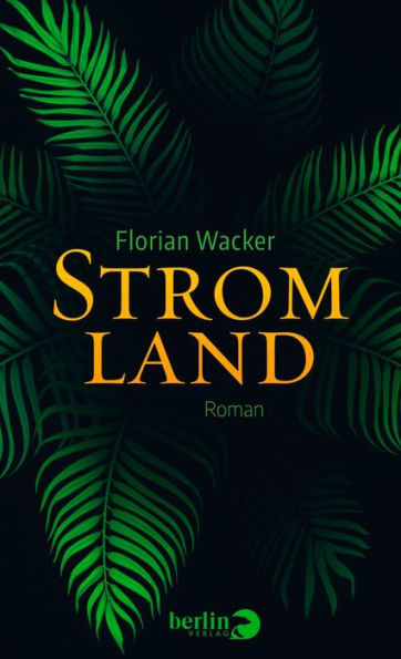 Stromland: Roman