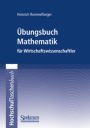 Übungsbuch Mathematik für Wirtschaftswissenschaftler / Edition 1