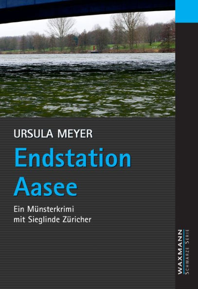 Endstation Aasee : Ein Münsterkrimi mit Sieglinde Züricher