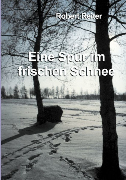 Eine Spur im frischen Schnee