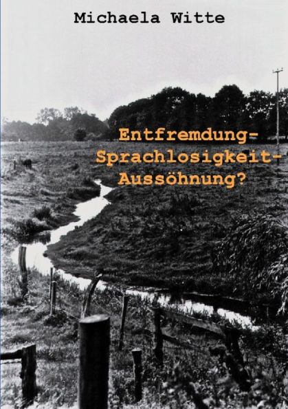 Entfremdung - Sprachlosigkeit - Aussöhnung ?: Deutsch-tschechische Verständigungsprobleme in der Vertreibungsfrage (vyhnani a odsun) der Sudetendeutschen im Spiegel ausgewählter deutscher und tschechischer Presseorgane (1984-1997)