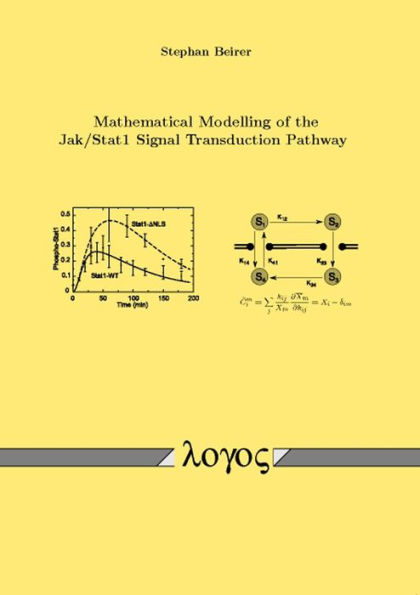 Mathematical Modelling of the Jak /Stat1 Signal Transduction Pathway