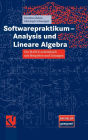 Softwarepraktikum - Analysis und Lineare Algebra: Ein MAPLE-Arbeitsbuch mit vielen Beispielen und Lösungen