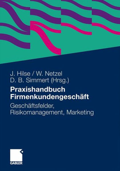 Praxishandbuch Firmenkundengeschäft: Geschäftsfelder, Risikomanagement, Marketing