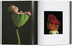 Alternative view 3 of Anne Geddes. Small World