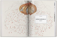 Alternative view 6 of The Art and Science of Ernst Haeckel
