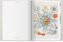 Alternative view 7 of The Art and Science of Ernst Haeckel