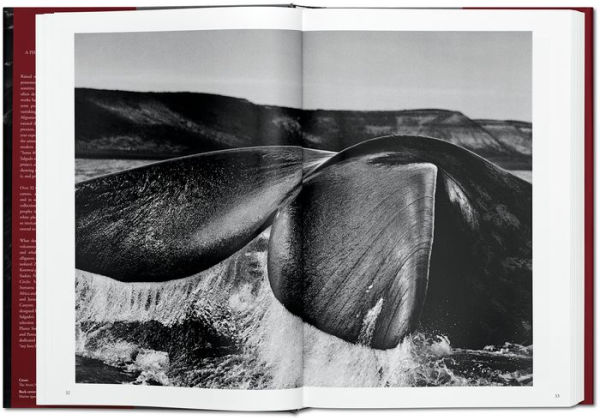 Sebastião Salgado. Genesis