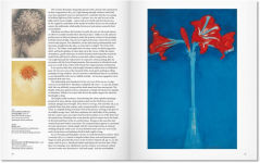 Alternative view 7 of Mondrian