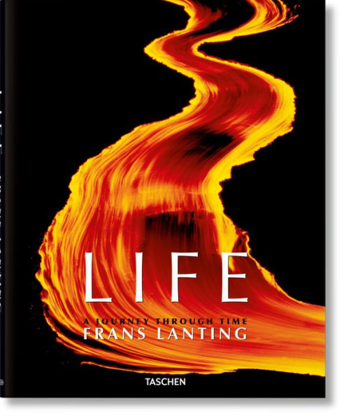 Life: A Journey through Time